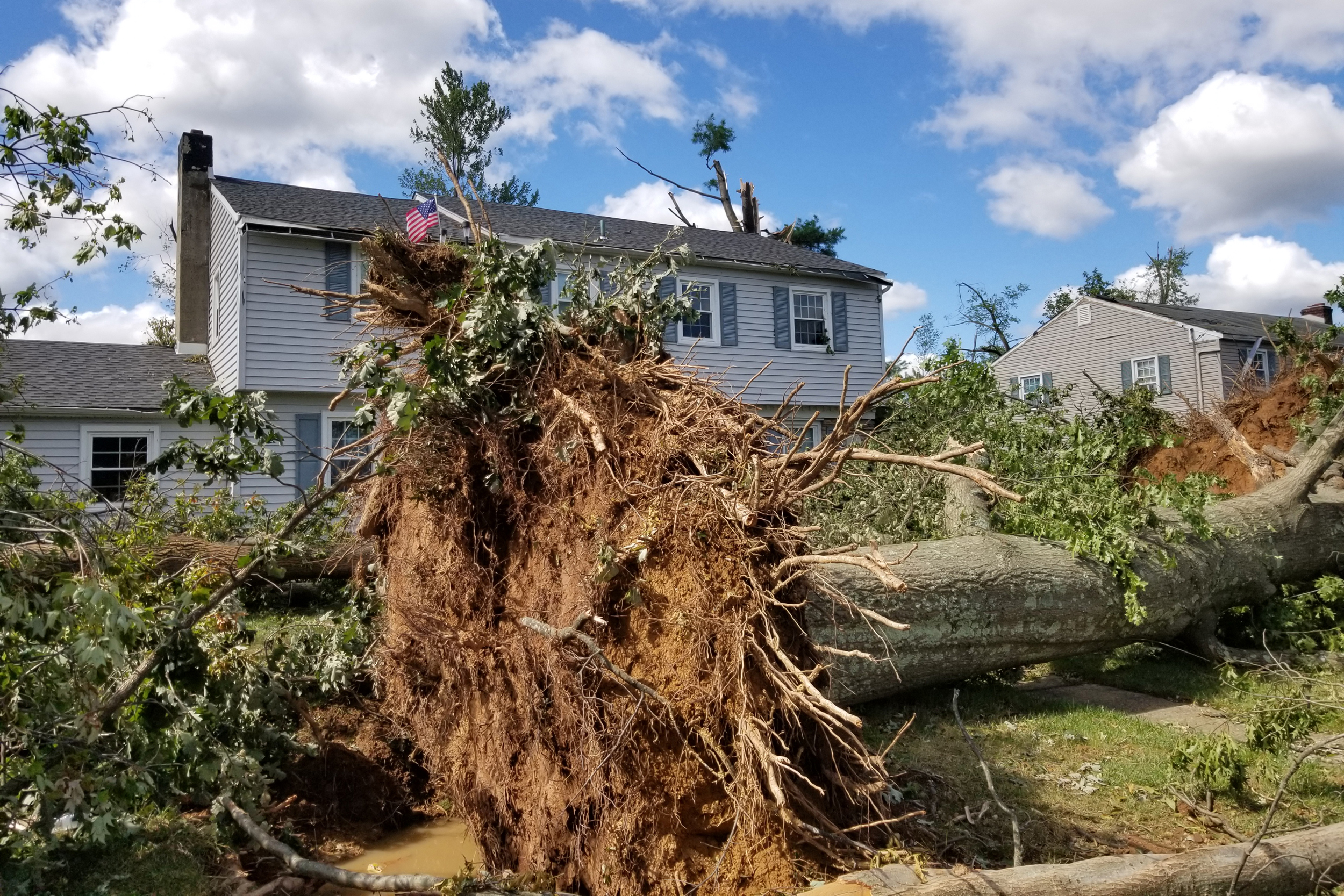 The 2021 tornado uprooted mature trees in a Montgomery County neighborhood. Credit: James Paulus