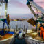Fishermen sort through their catch from a trawl fishery in the Port of Molfetta on Dec. 1, 2023. Credit: Davide Pischettola/NurPhoto via Getty Images