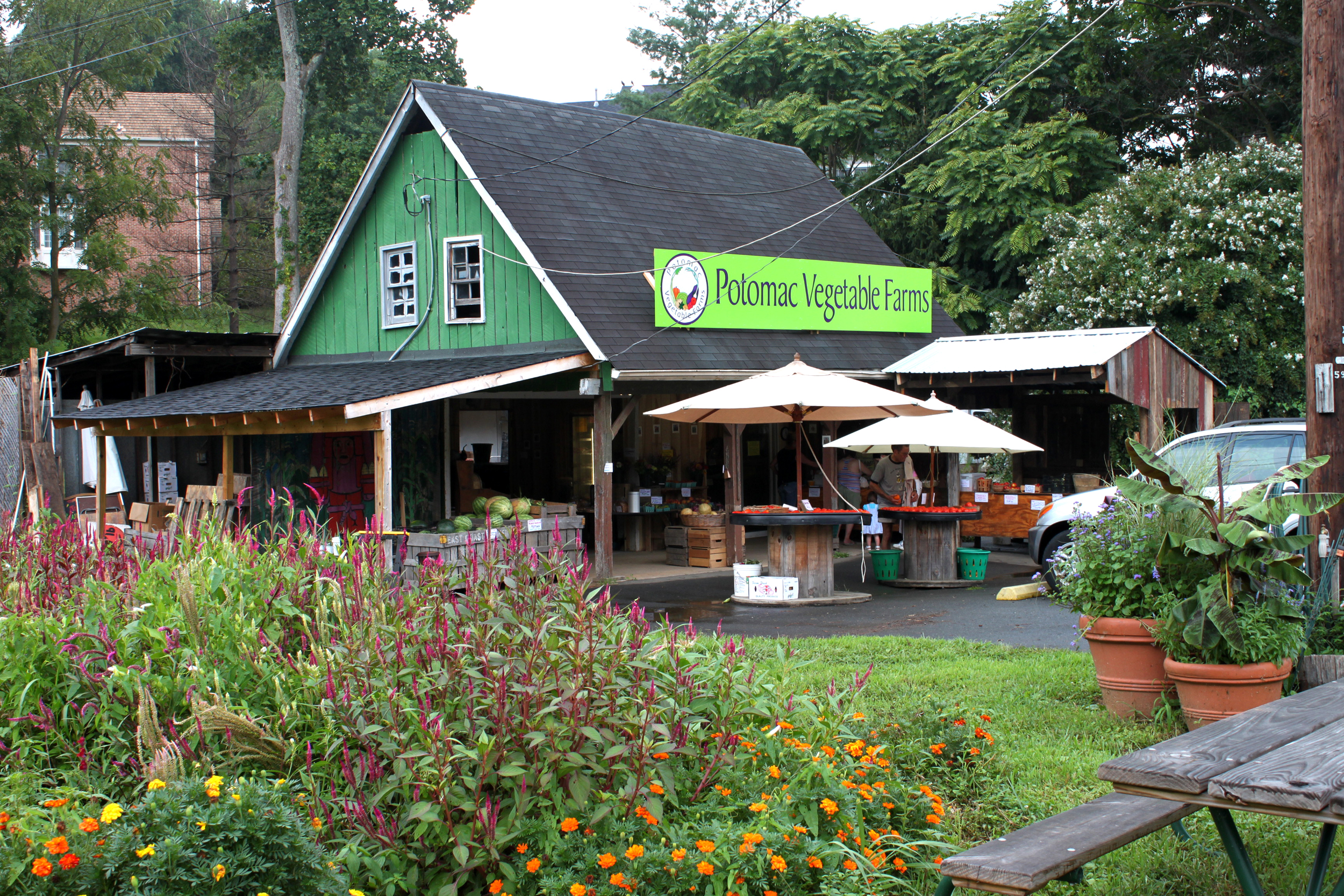 A view of the Potomac Vegetable Farms stand just north of Vienna, Virginia. Credit: Courtesy of Potomac Vegetable Farms