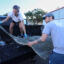 State and federal partners are racing to rescue smalltooth sawfish in the Florida Keys, where they are exhibiting unusual and concerning behavior like spinning and whirling. Credit: Florida Fish and Wildlife Conservation Commission